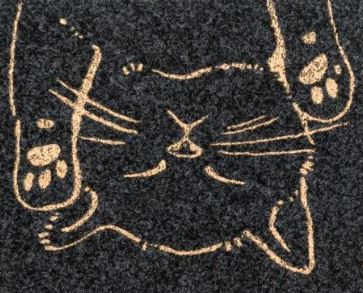 Wycieraczka Home Catts 60x40 cm 8mm gruba wewnętrzna