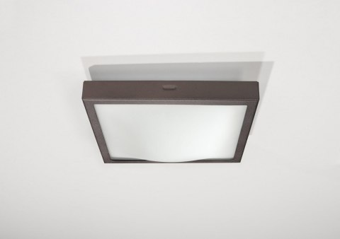 Plafon STUDIO 20 Wenge lampa domowa nowoczesna kuchnia salon jadalnia