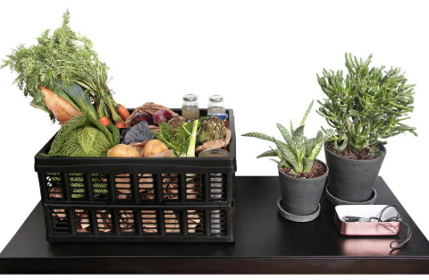 Skrzynka składana czarna BLACK 32 l lekki wygodny BOX