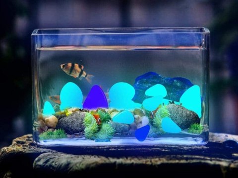 Kamyki ozdobne świecące fluor 100 Szt dekoracja nocna