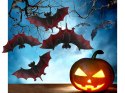 Niezwykły zestaw dekoracyjnych nietoperzy na Halloween, który wprowadzi niepowtarzalny nastrój do Twojego domowego święta!