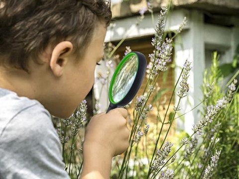 Lupa zielona klasyczna szkło powiększające soczewka 100mm
