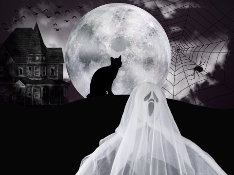 Dekoracja Zjawa na Halloween - Wiszący Duch 65 cm