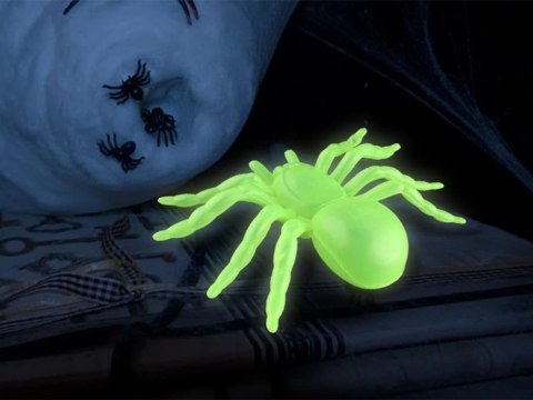 Strachy Pajęczne - Fluorescencyjna Dekoracja Halloweenowa