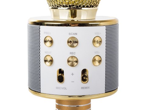 Mikrofon karaoke Bluetooth z etui - twój idealny towarzysz zabawy!