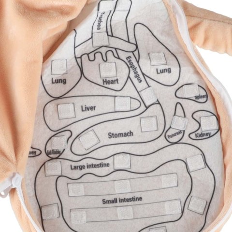 Interaktywna lalka anatomiczna - edukacja poprzez zabawę!
