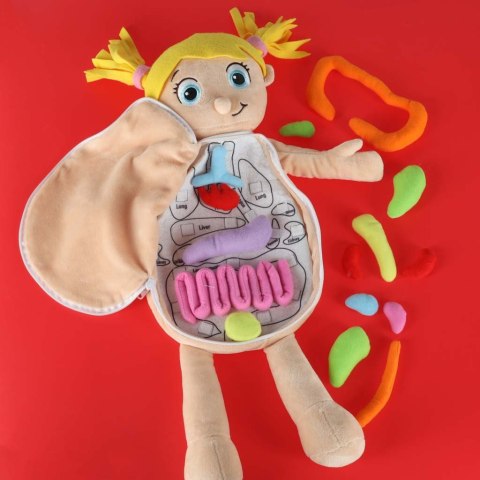 Interaktywna lalka anatomiczna - edukacja poprzez zabawę!